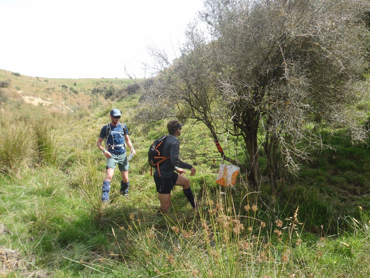 Checkpoint 310