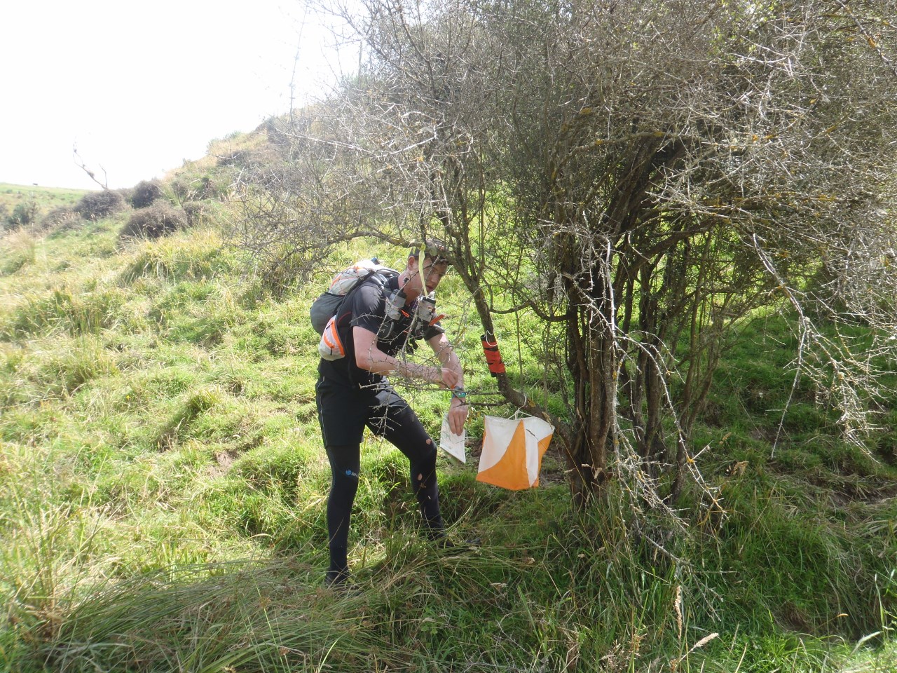 Checkpoint 310