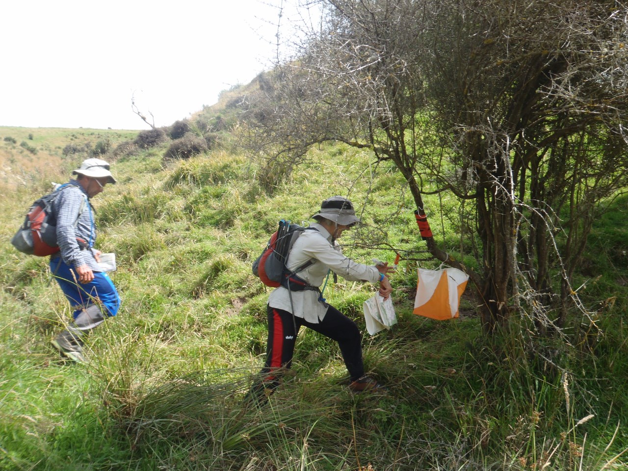Checkpoint 310