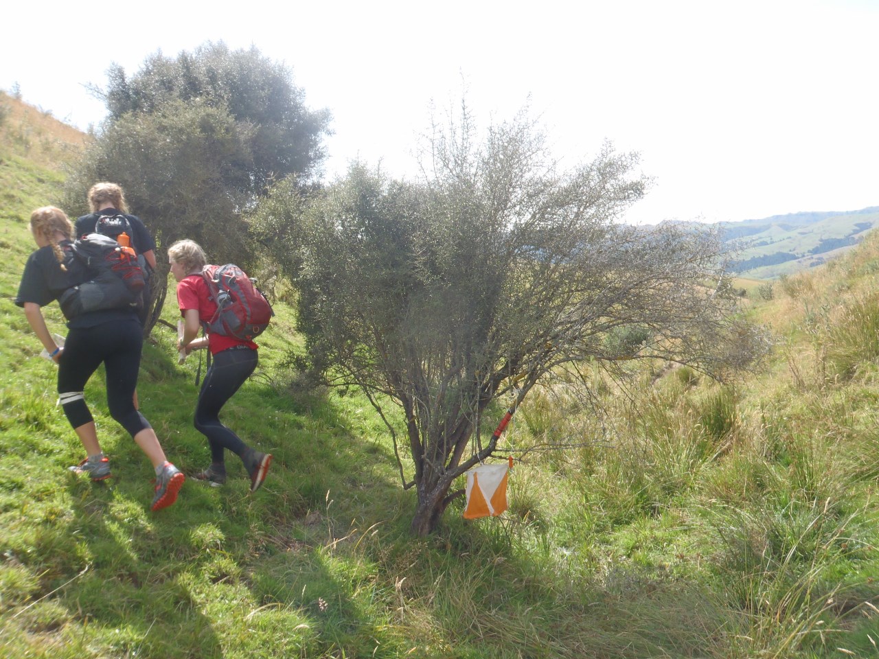 Checkpoint 310