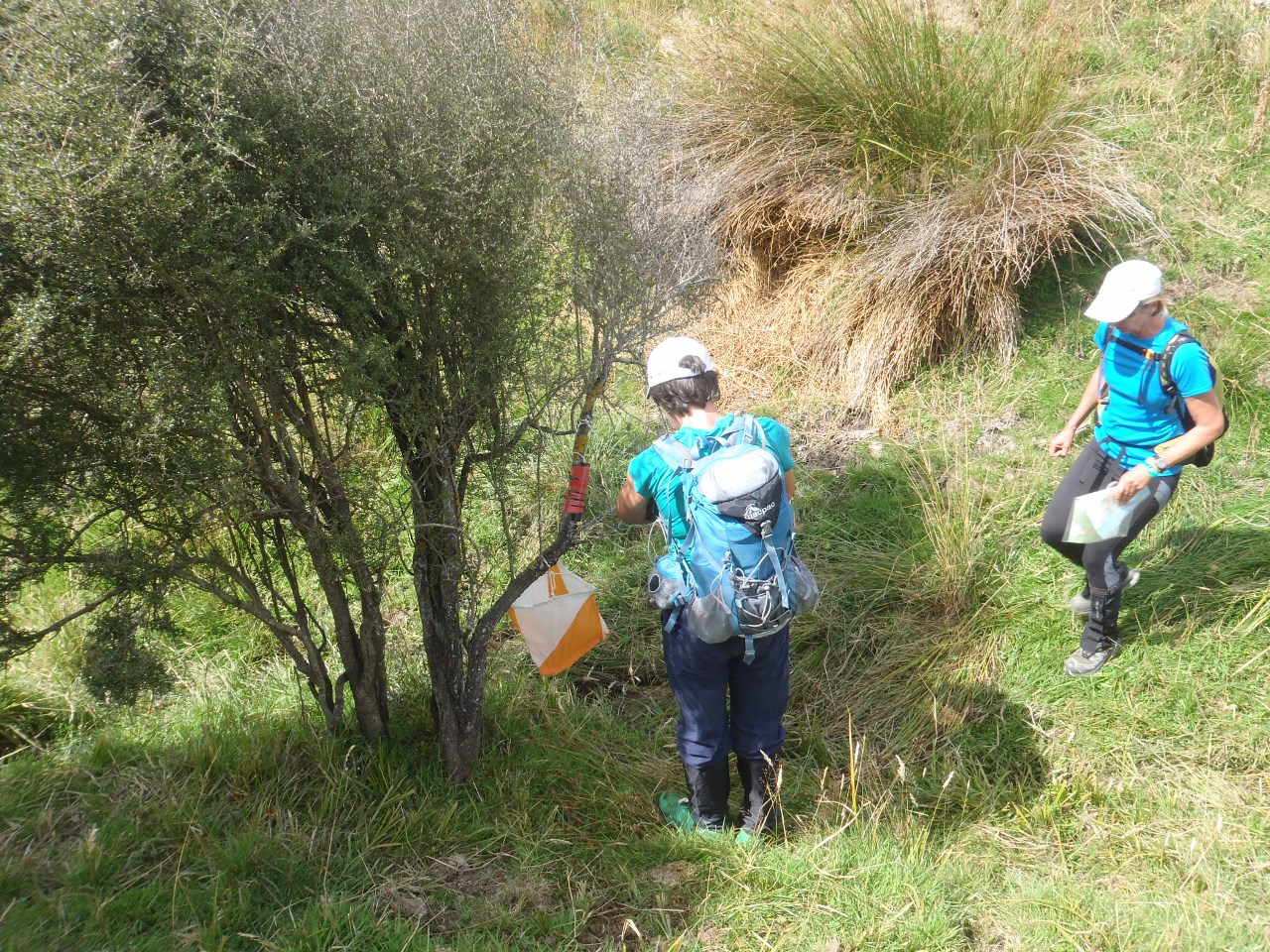 Checkpoint 310