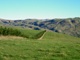P1000503T.jpg