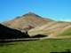P1000507T.jpg