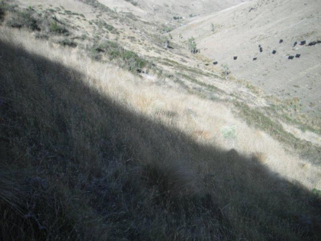 photo12.jpg