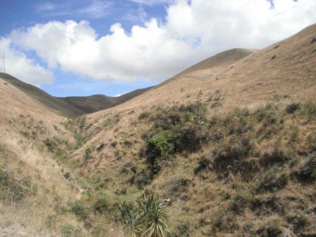 photo20.jpg