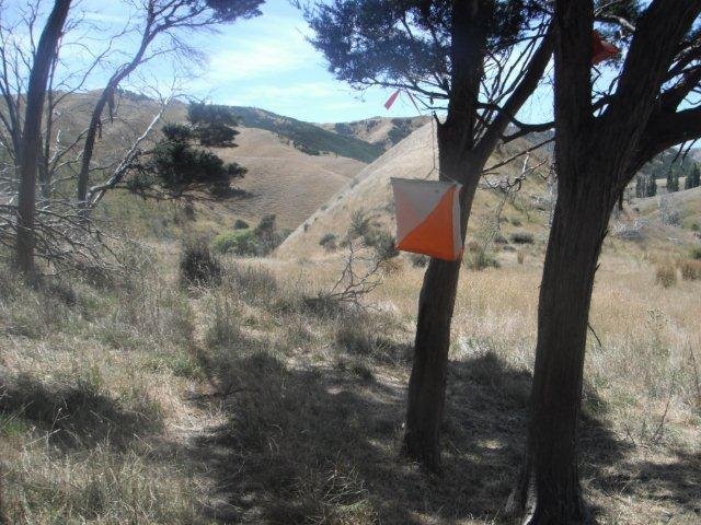 photo27.jpg