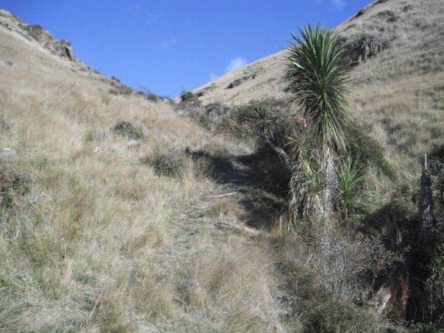 photo36.jpg