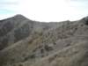 gallery/photo39_small.jpg