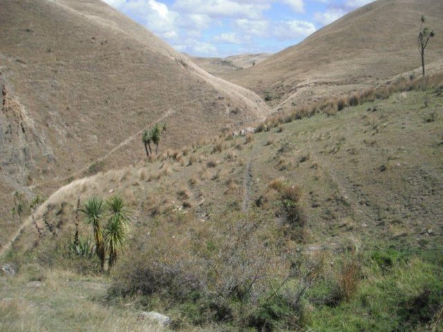 photo5.jpg