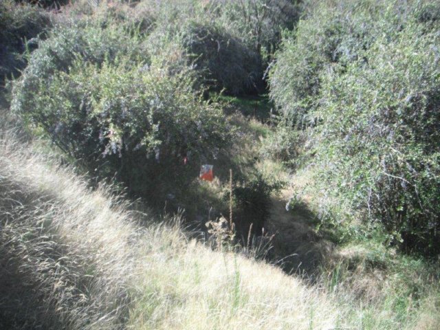 photo12.jpg