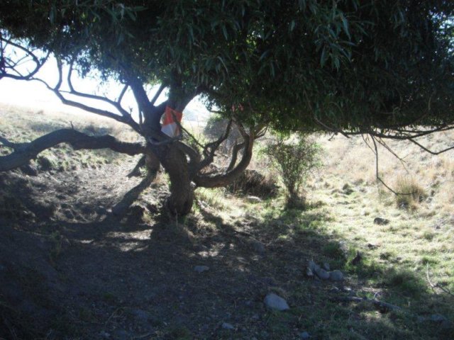 photo3.jpg