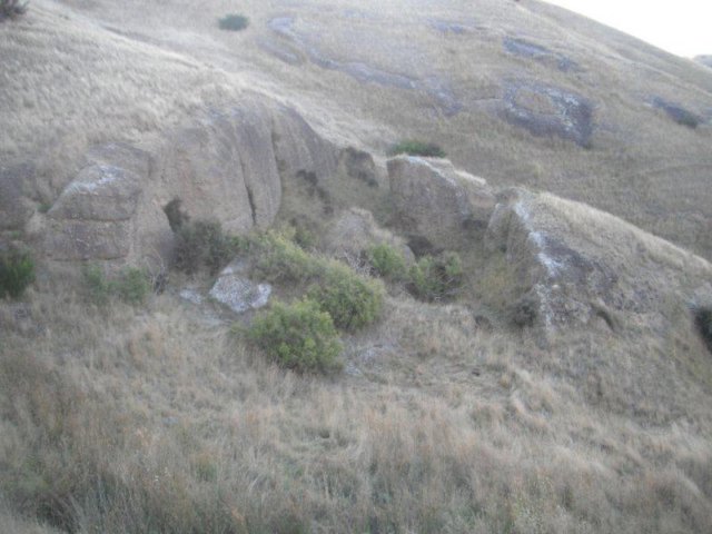 photo7.jpg