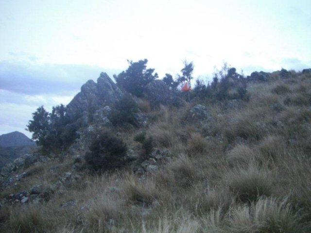 photo14.jpg