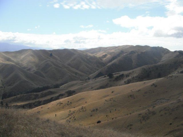 photo19.jpg