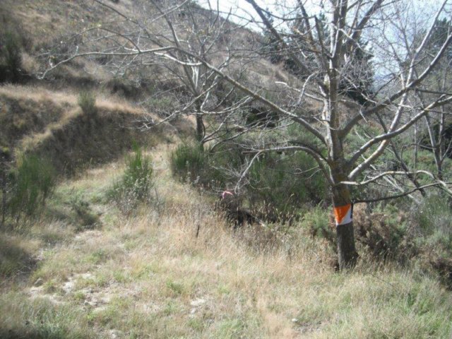 photo26.jpg