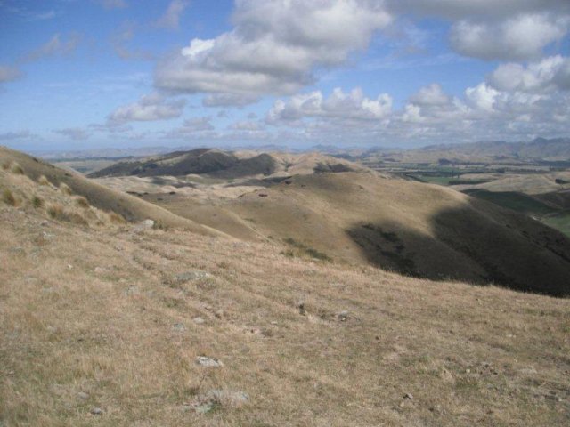 photo5.jpg