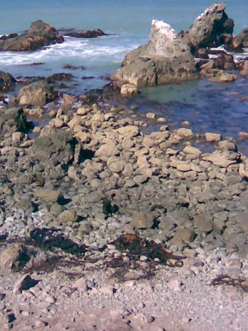 photo20.jpg