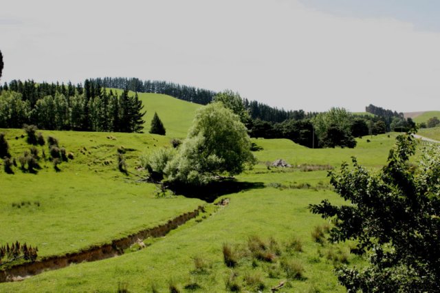 photo29.jpg