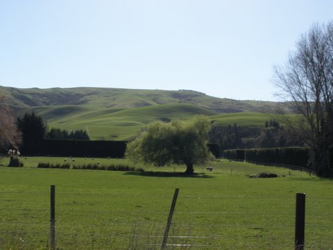 photo18.jpg