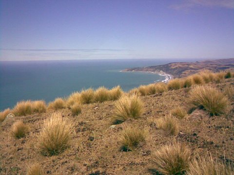 photo21.jpg