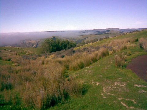 photo27.jpg