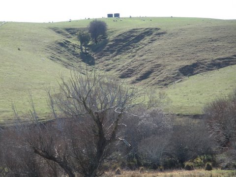 photo9.jpg
