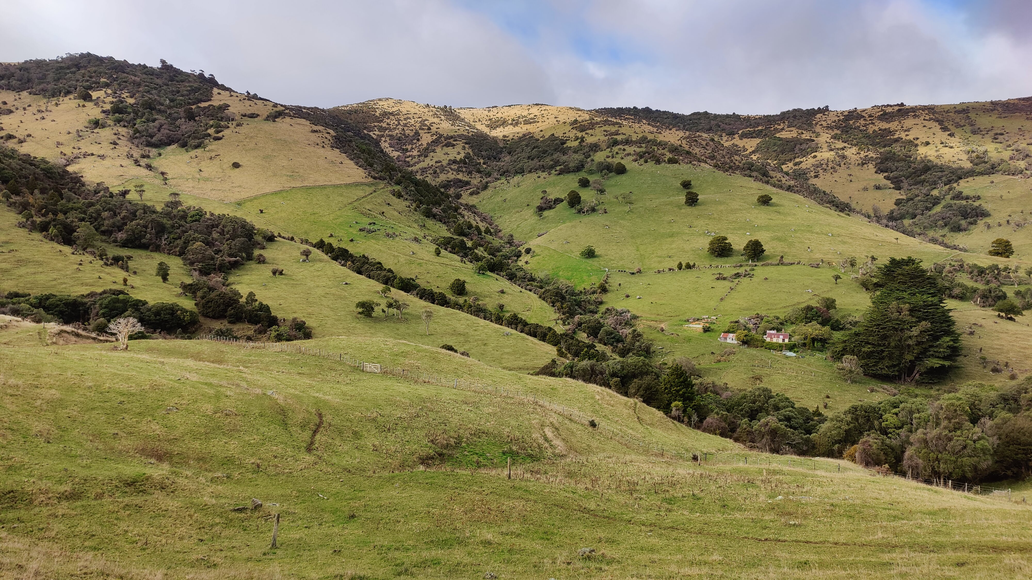 Akaroa